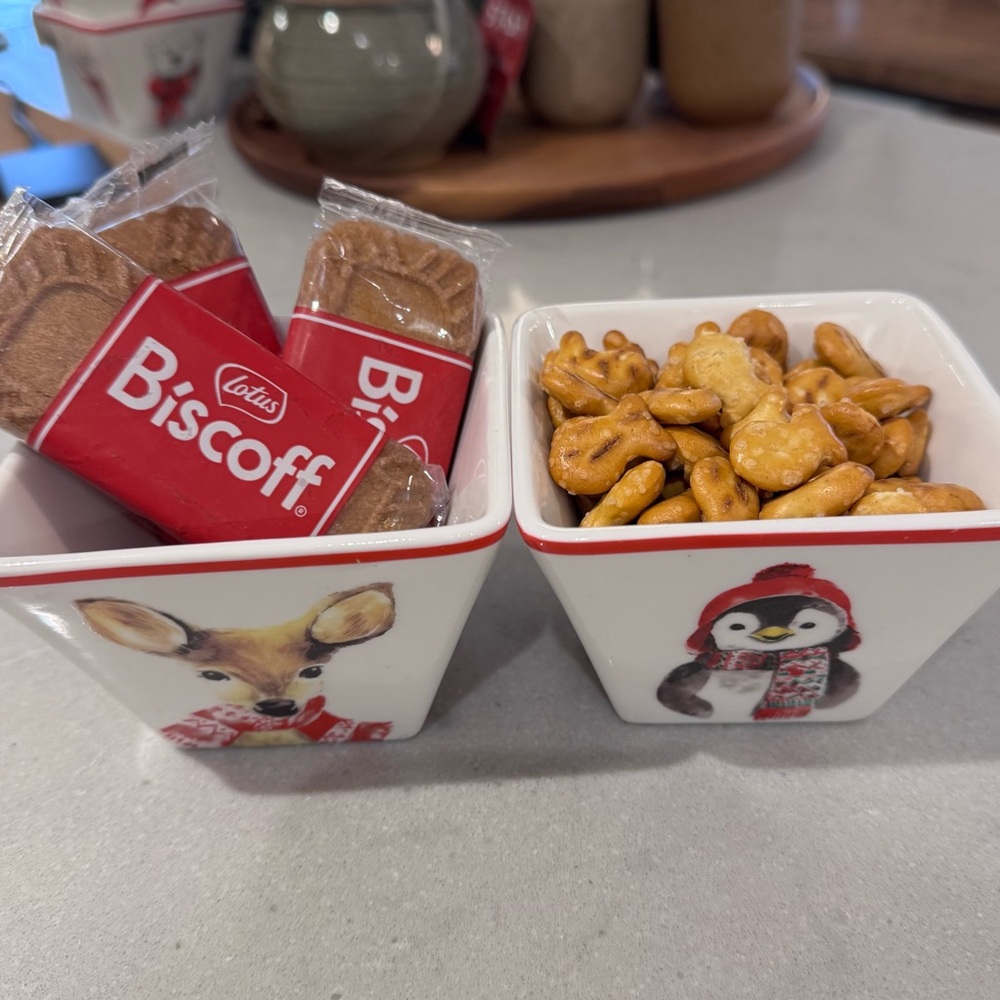 Ciroa Woodland Critters Celebrate Winter Set Of 4 Square Ceramic Bowls